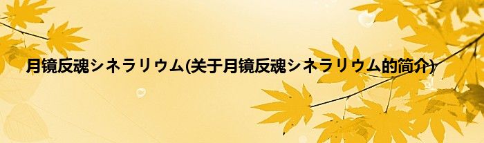 月镜反魂シネラリウム(关于月镜反魂シネラリウム的简介)