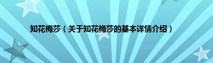 知花梅莎（关于知花梅莎的基本详情介绍）