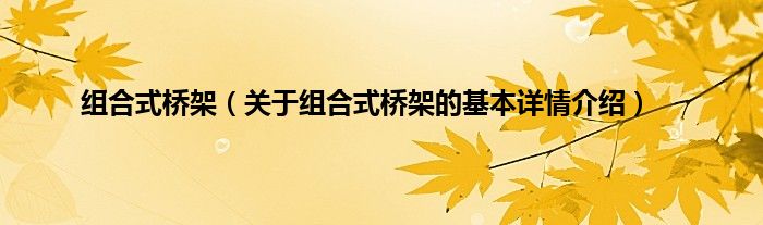 组合式桥架（关于组合式桥架的基本详情介绍）