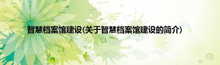 智慧档案馆建设(关于智慧档案馆建设的简介)