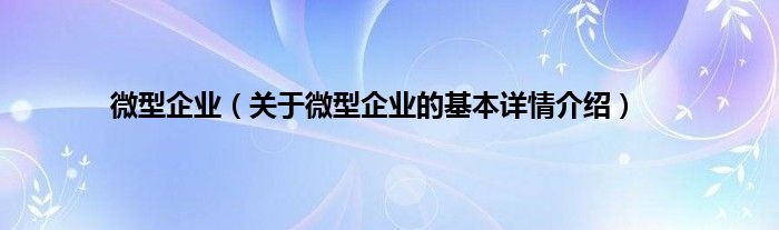 微型企业（关于微型企业的基本详情介绍）