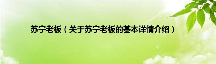 苏宁老板（关于苏宁老板的基本详情介绍）