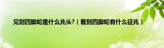 见到四脚蛇是什么兆头?（看到四脚蛇有什么征兆）