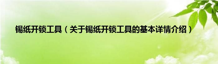 锡纸开锁工具（关于锡纸开锁工具的基本详情介绍）
