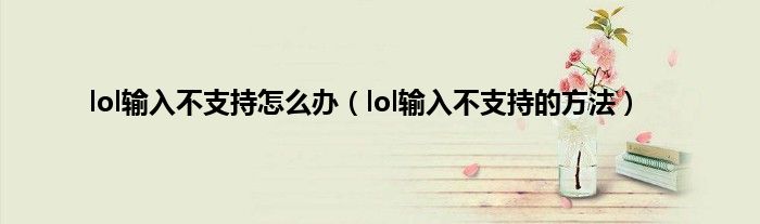 lol输入不支持怎么办（lol输入不支持的方法）