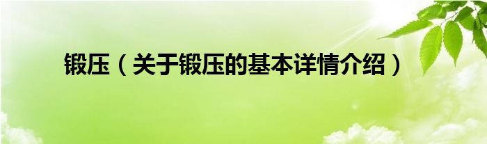 锻压（关于锻压的基本详情介绍）