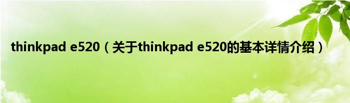 thinkpad e520（关于thinkpad e520的基本详情介绍）