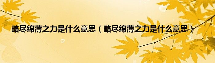 略尽绵薄之力是什么意思（略尽绵薄之力是什么意思）